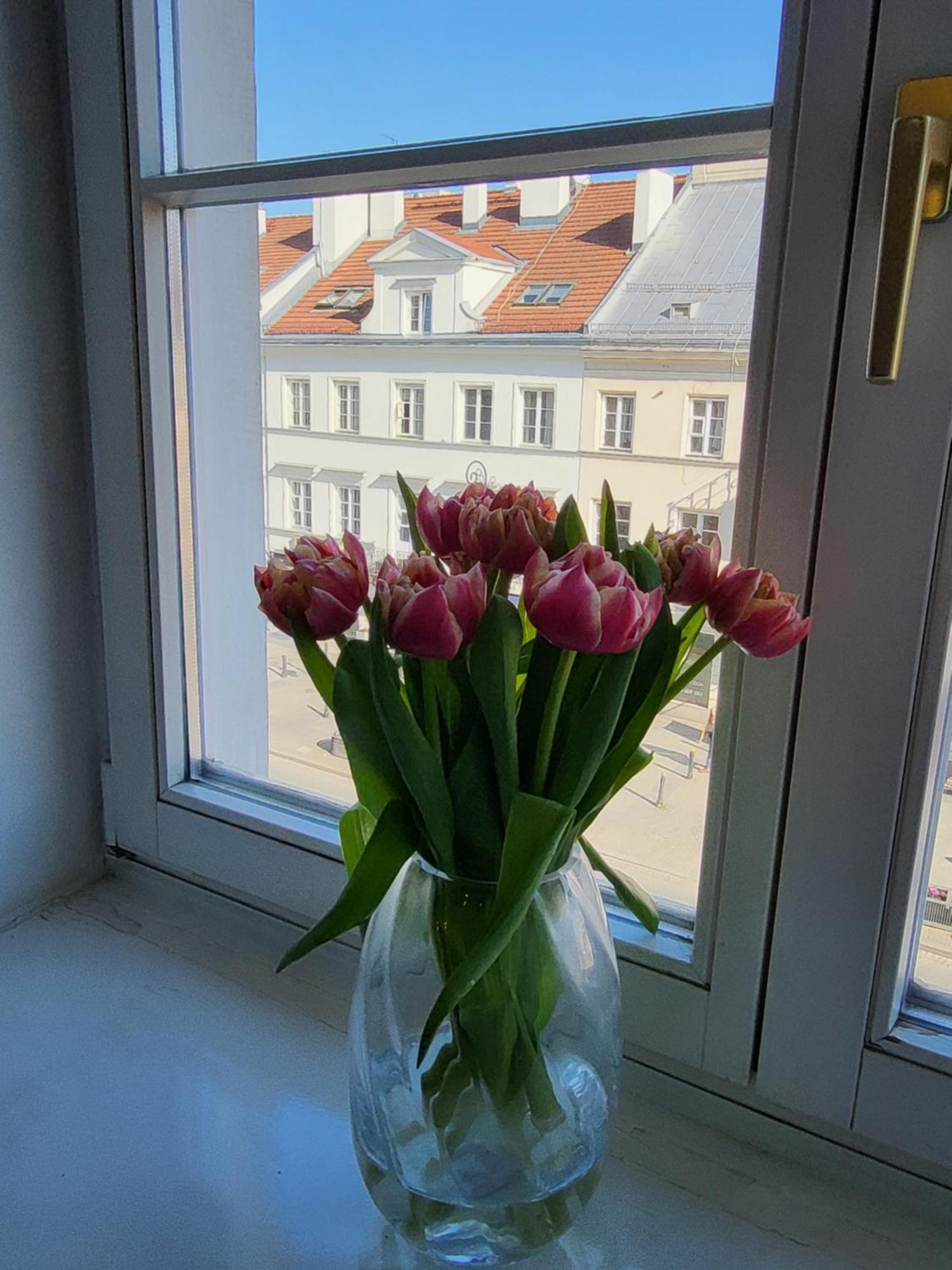 Novo Mundo Apartment Warsawa Bagian luar foto